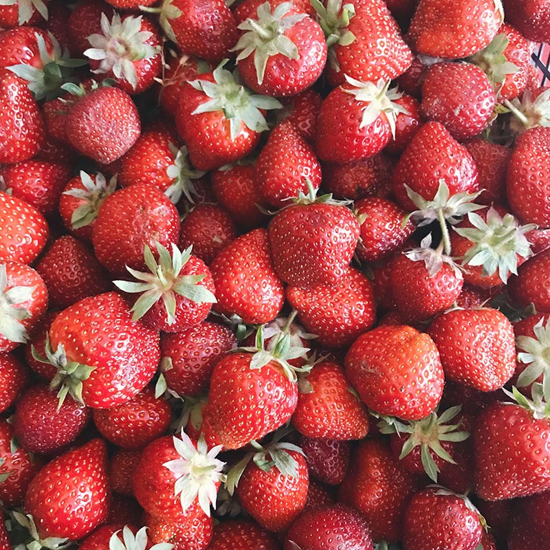 Fresh Strawberries, 1 lb